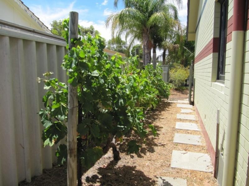 1 SHEEN Way, Bullsbrook WA 6084