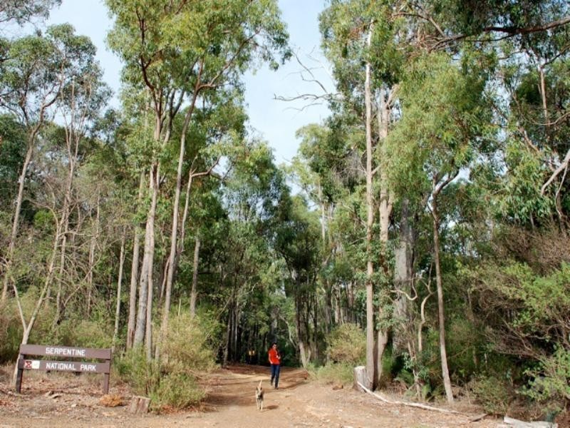 19 Cousens Street, Jarrahdale WA 6124