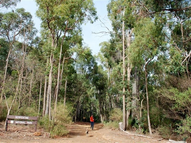 19 Cousens Street, Jarrahdale WA 6124