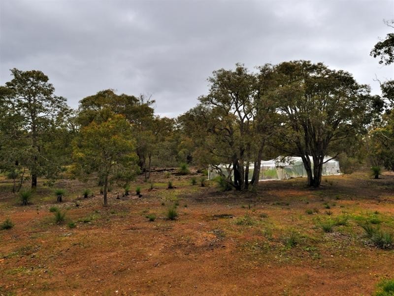 21 Dulcify Court, Brigadoon WA 6069