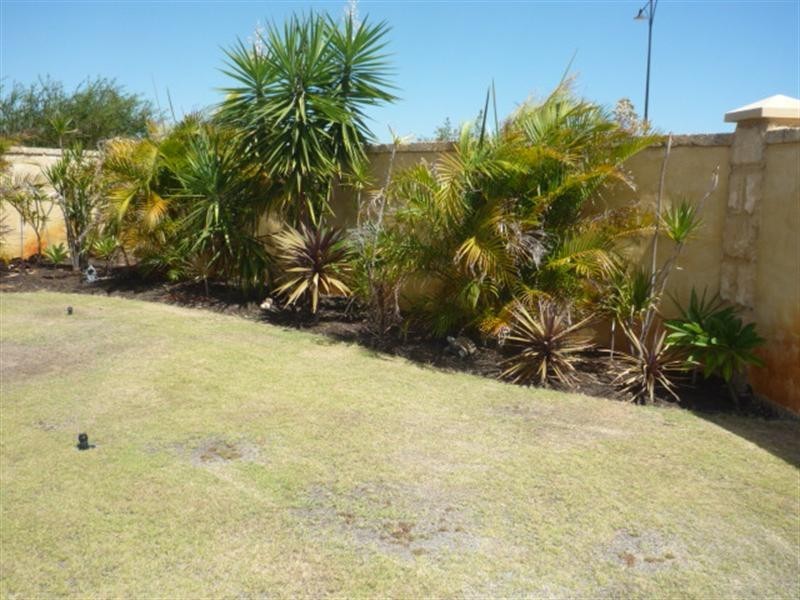 6 Louisa Grove, Ellenbrook WA 6069