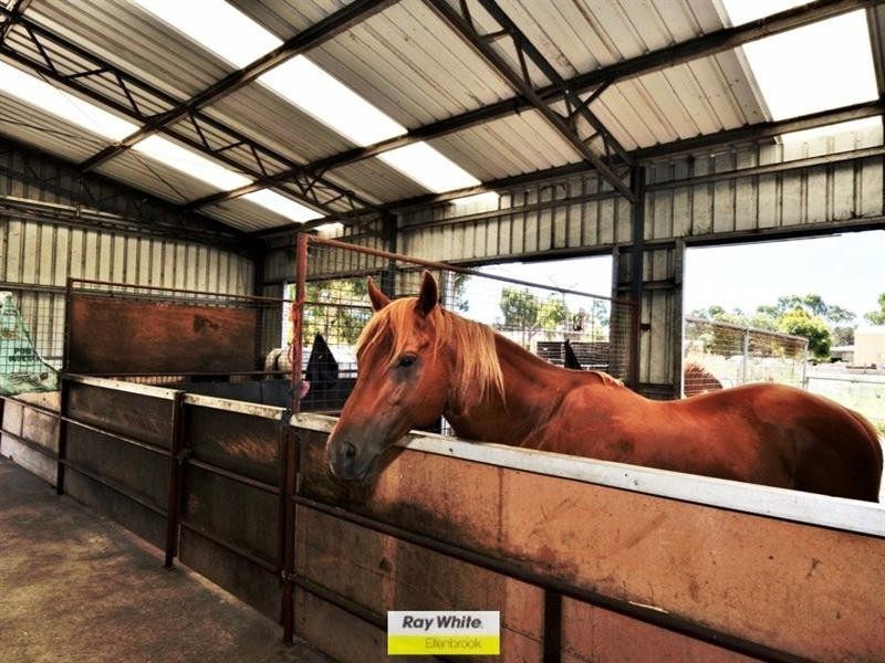 732 Lord Street, Henley Brook WA 6055