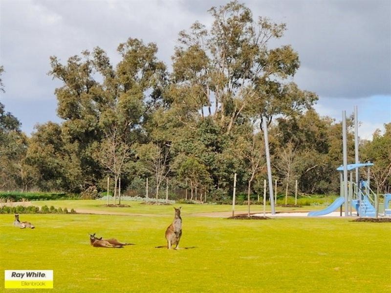 125 Roxburghe Drive, The Vines WA 6069