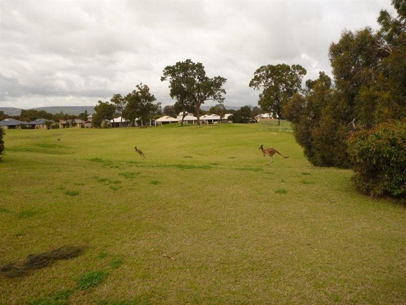 20 Bollinger Close, The Vines WA 6069