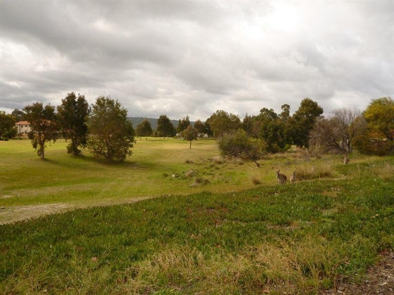20 Bollinger Close, The Vines WA 6069