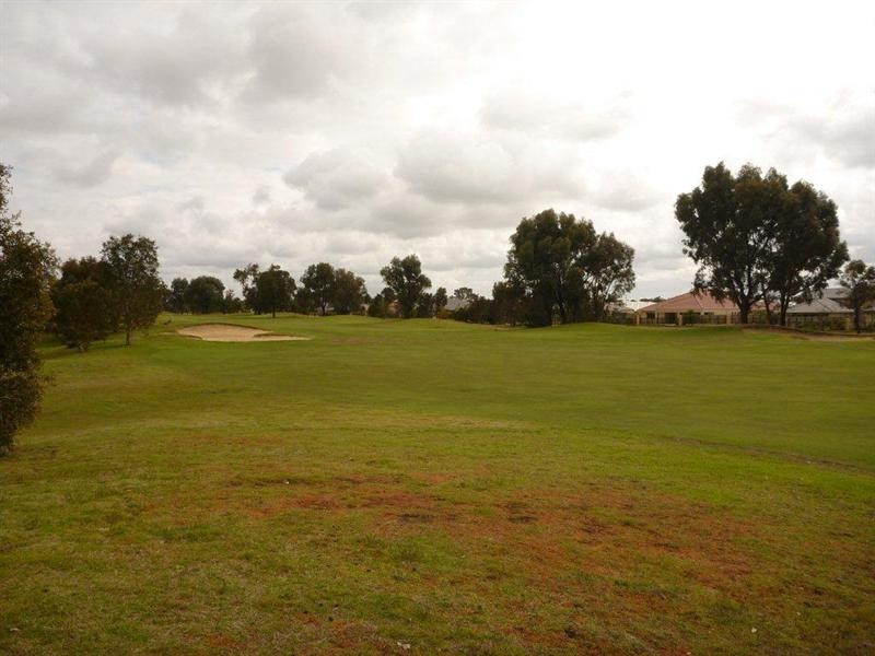 20 Bollinger Close, The Vines WA 6069