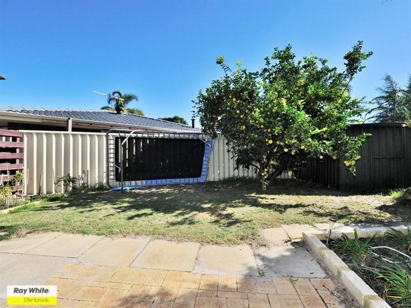 11 Swallow Court, Ballajura WA 6066