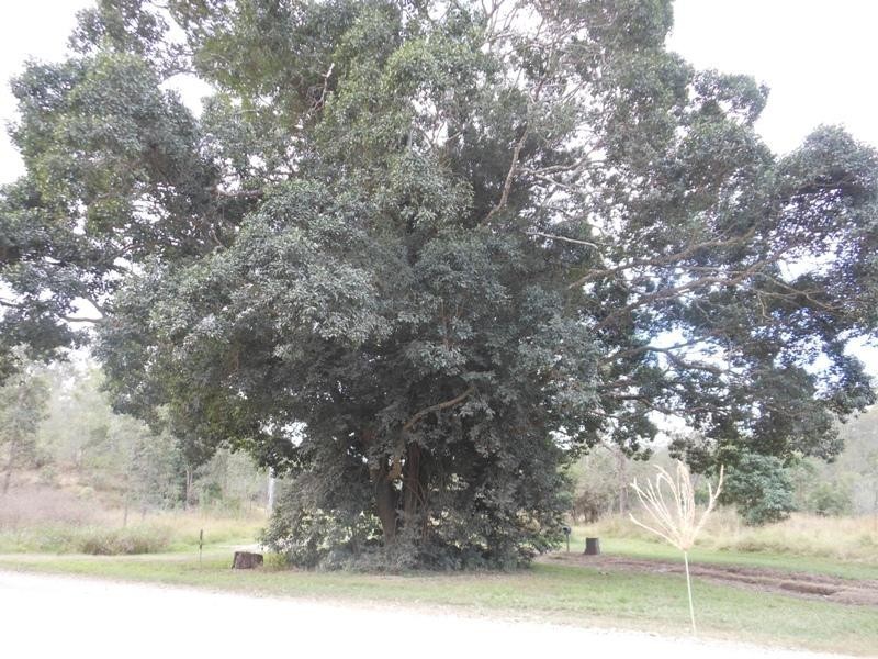 83 Moolboolaman Road, Gin Gin QLD 4671