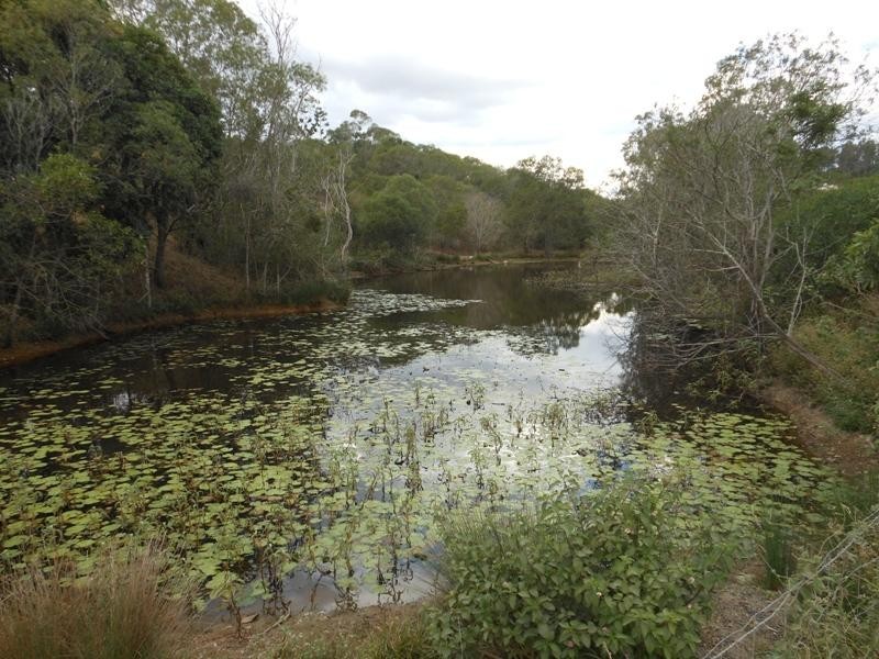 337 Bungadoo Road, Bungadoo QLD 4671