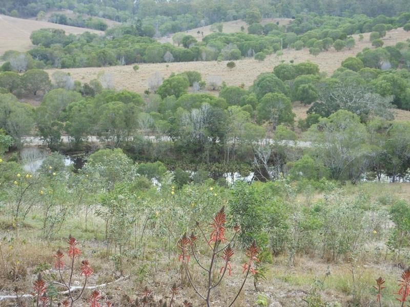 337 Bungadoo Road, Bungadoo QLD 4671