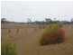 157 Melvilles Road, Maroondan QLD 4671