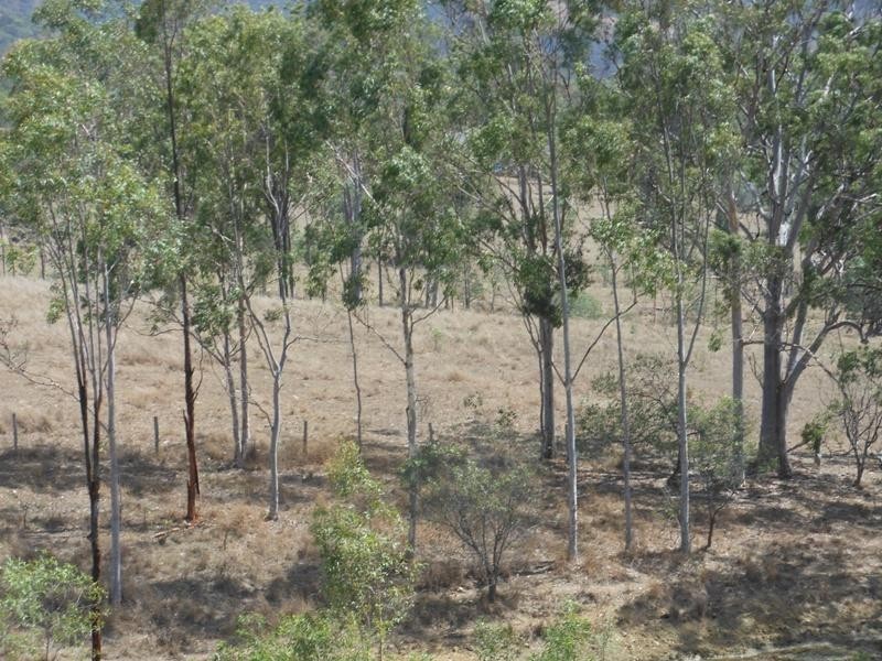 30 Walters Road, Gin Gin QLD 4671