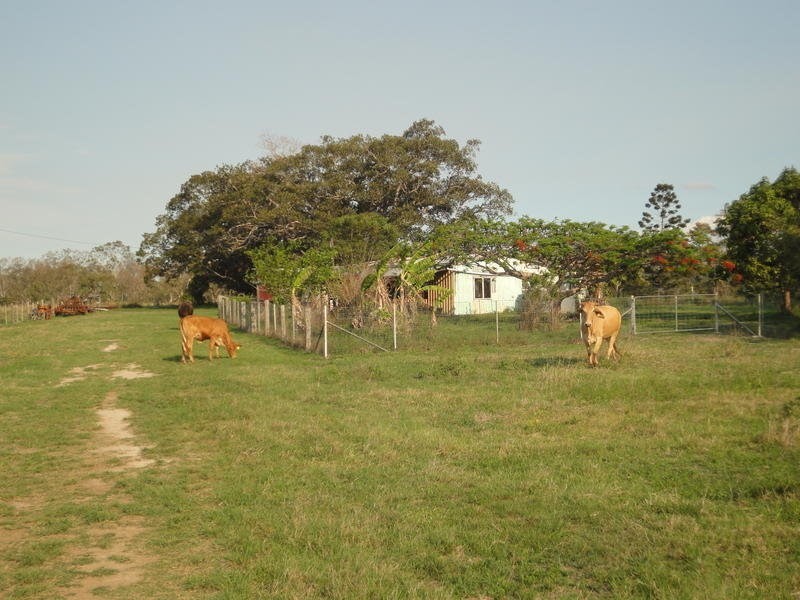 43 Cummings Road, Bucca QLD 4670