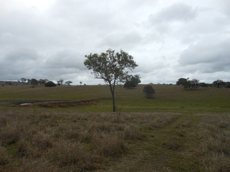 1533 Gin Gin-Mt Perry Road, Gin Gin QLD 4671