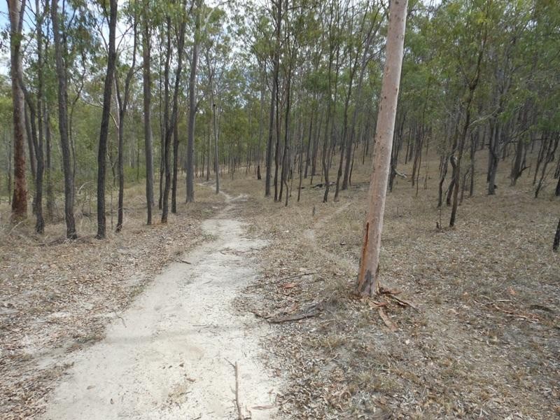 24 Wonbah Avenue, Wonbah QLD 4671