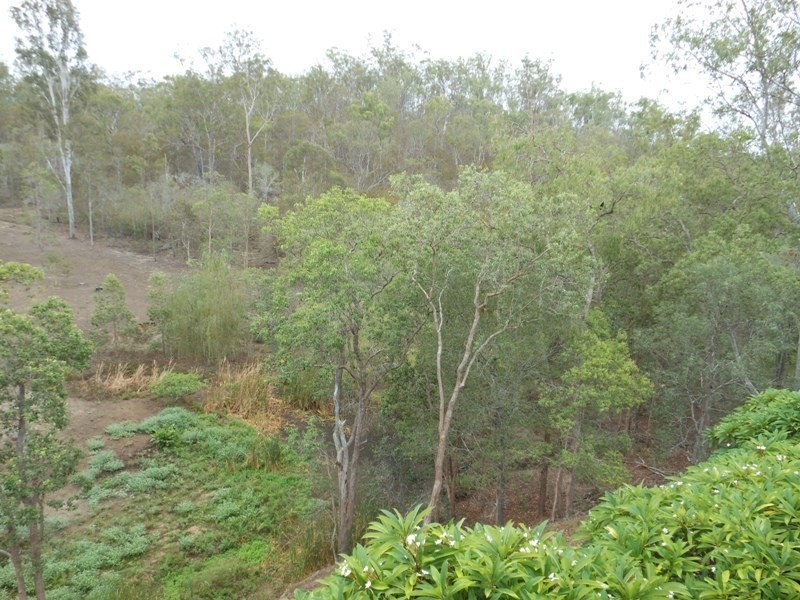 123 Tesellaris Trail, Gin Gin QLD 4671