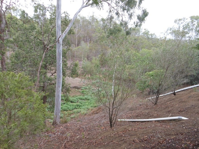 123 Tesellaris Trail, Gin Gin QLD 4671