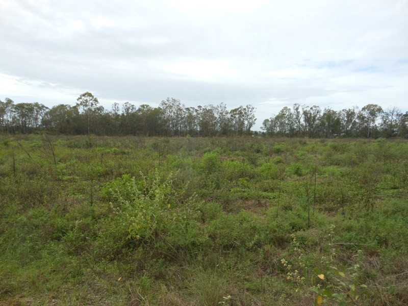 3546 Bundaberg Road, Bullyard QLD 4671