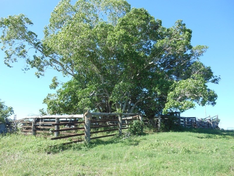 328 Perry River Farms Road, Gin Gin QLD 4671