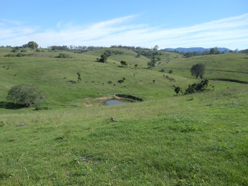 328 Perry River Farms Road, Gin Gin QLD 4671