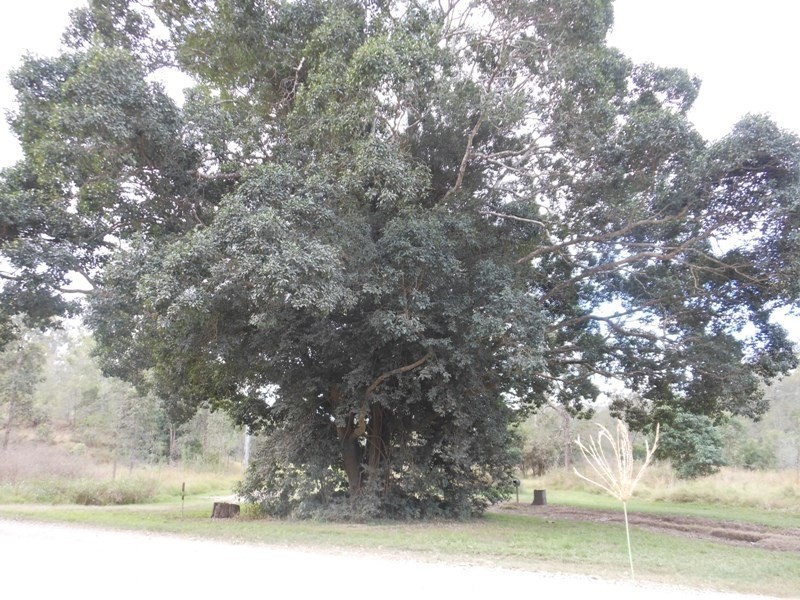 83 Moolboolaman Road, Gin Gin QLD 4671