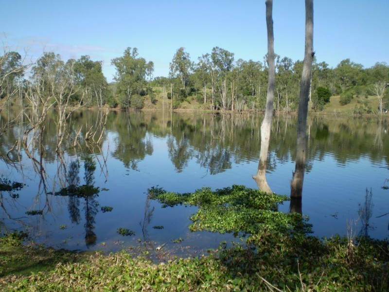 Gin Gin QLD 4671