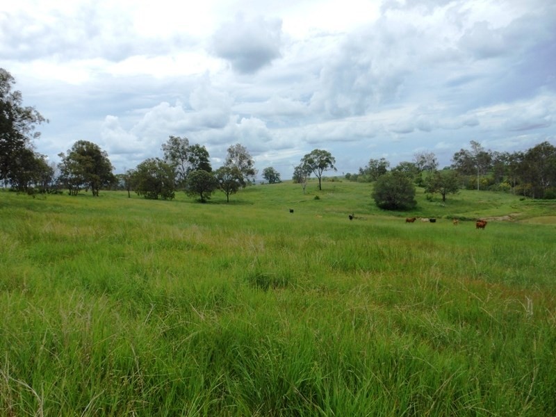 177 New Lea Road, New Moonta QLD 4671