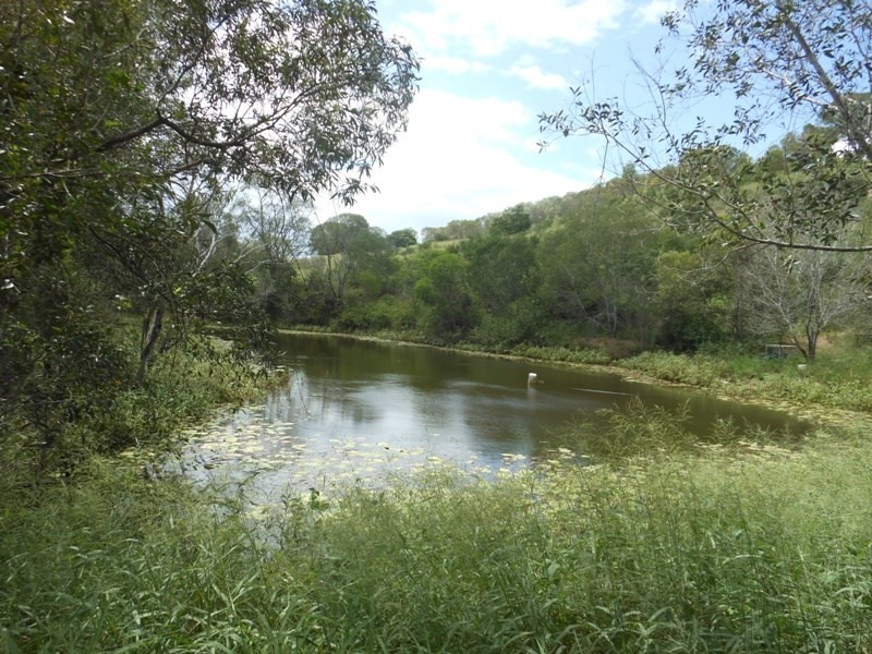 337 Bungadoo Road, Gin Gin QLD 4671