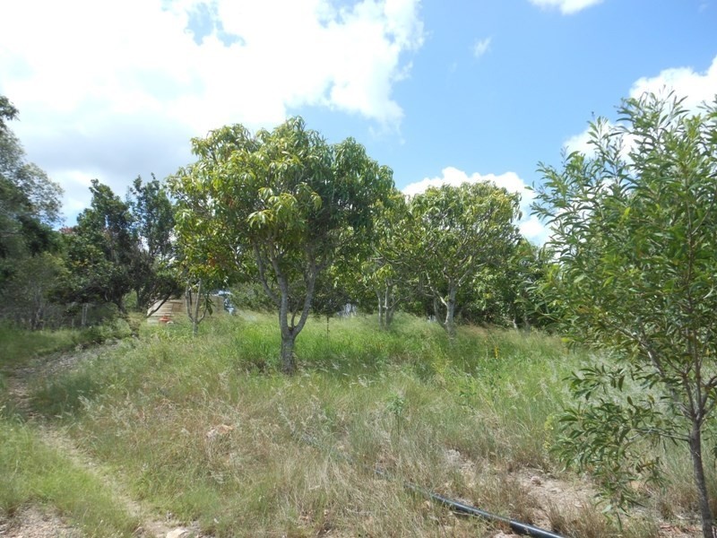 337 Bungadoo Road, Gin Gin QLD 4671