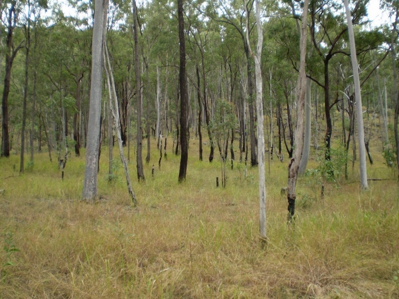 Gin Gin QLD 4671