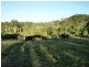 Gin Gin QLD 4671