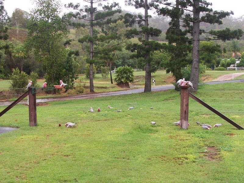 Mount Perry QLD 4671