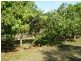 Gin Gin QLD 4671