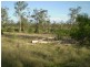 Gin Gin QLD 4671