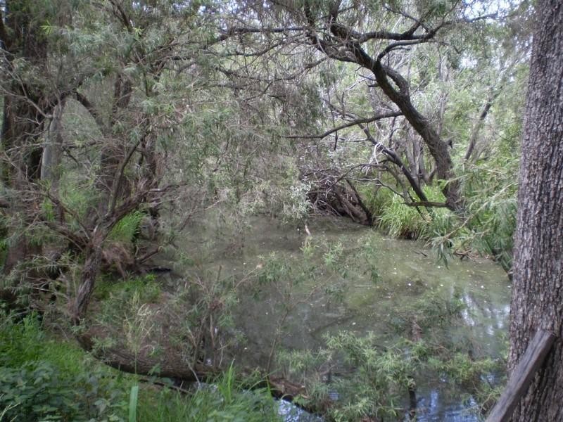 Gin Gin QLD 4671