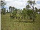 Gin Gin QLD 4671