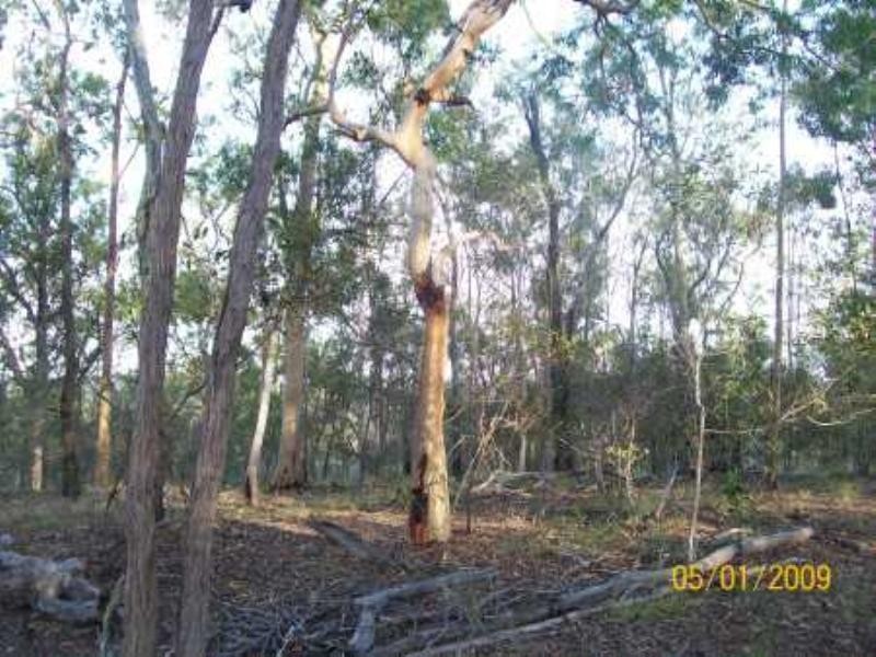 Gin Gin QLD 4671