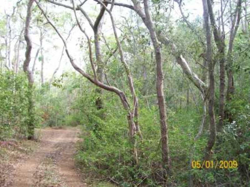 Gin Gin QLD 4671
