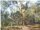 Gin Gin QLD 4671