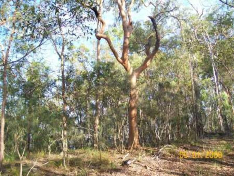 Gin Gin QLD 4671
