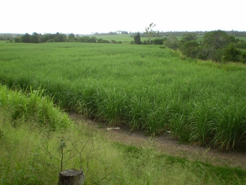 Gin Gin QLD 4671