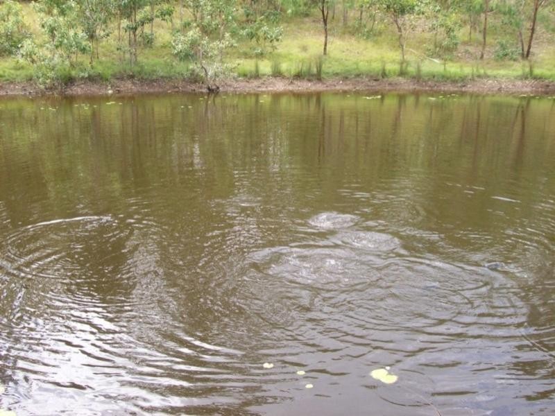 Gin Gin QLD 4671
