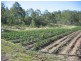 Gin Gin QLD 4671
