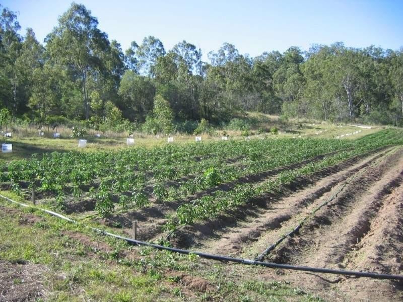 Gin Gin QLD 4671