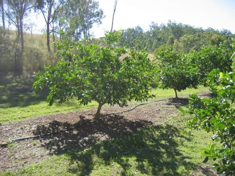 Gin Gin QLD 4671