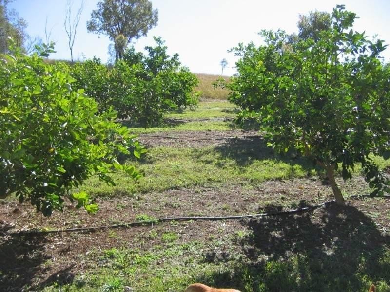 Gin Gin QLD 4671