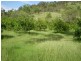 Gin Gin QLD 4671