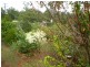 Gin Gin QLD 4671