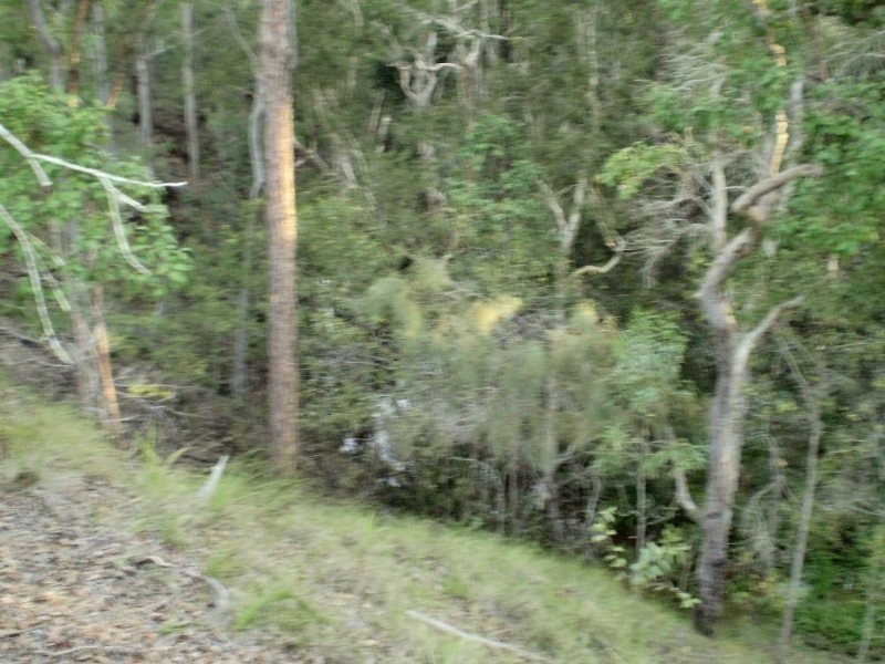 Gin Gin QLD 4671