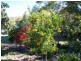 Mount Perry QLD 4671